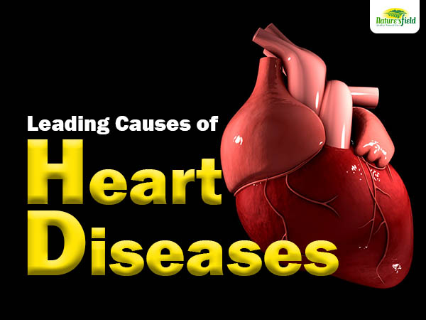 Most overlooked yet leading causes of heart diseases